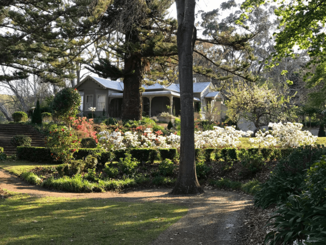 Foxglove-Gardens- Travellarks-Accommodation _Tilba- South-Coast- River-Cottage