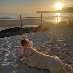 BOAT_HARBOUR_BEACH_HOUSE_Tasmania_Travellarks_beach-with-kids-dog