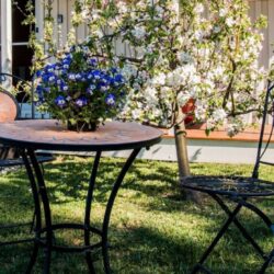 White-Croft-Cottage-Ross-TAS-Travellarks-accommodation-garden-table